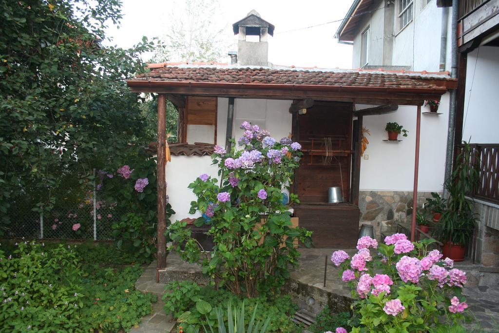 Todorova House Hotel Zlatograd Luaran gambar